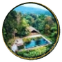 Dudhsagar Plantation logo