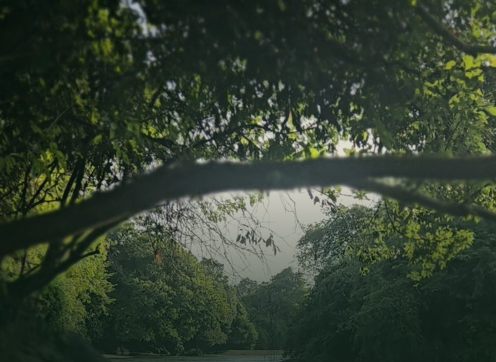 The hidden river trail at Dudhsagar Plantation, South Goa